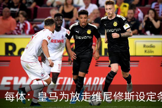 每体：皇马为放走维尼修斯设定条件 报价不得低于1.6亿欧