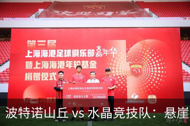 波特诺山丘 vs 水晶竞技队：悬崖边的决战，谁将逆袭？