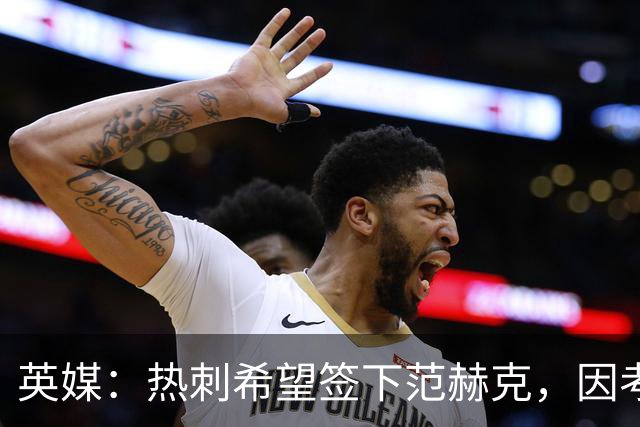 英媒：热刺希望签下范赫克，因考虑其与德泽尔比交情