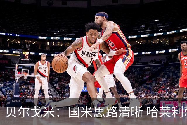 贝尔戈米：国米思路清晰 哈莱利就像阿什拉夫 防线引援选卢库米
